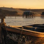 Activite bassin d arcachon : pinasse traditionnelle au coucher du soleil et cabanes tchanquées