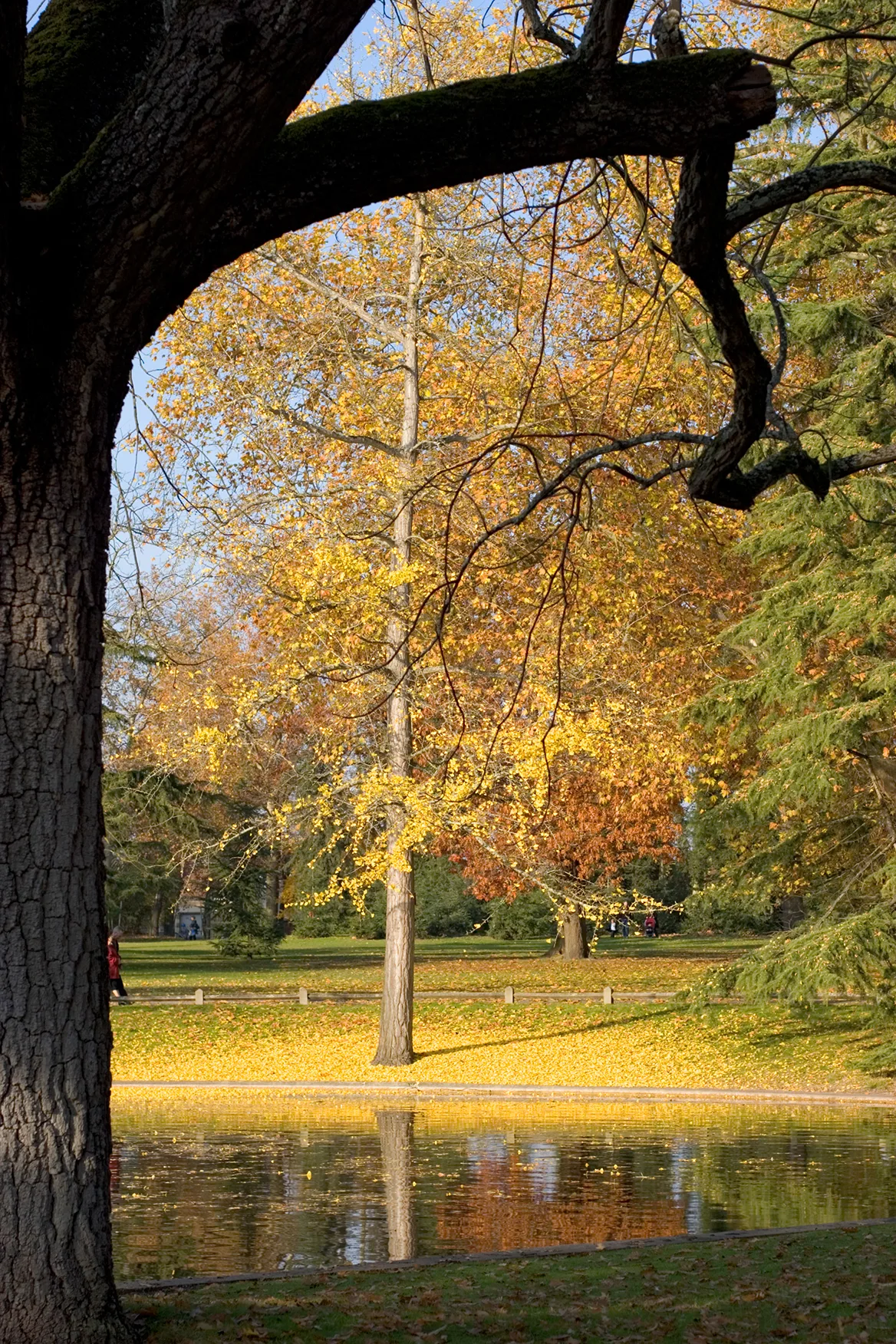 Parc bordelais